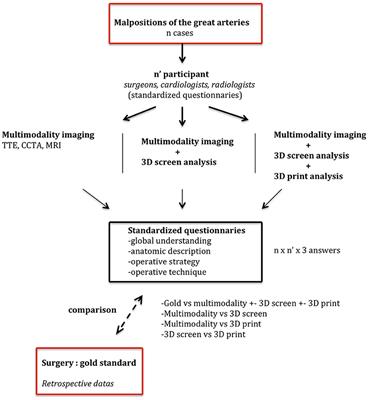 3D-Printed Models for Surgical Planning in Complex Congenital Heart Diseases: A Systematic Review